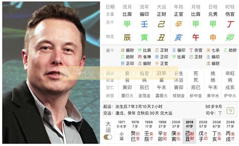 elon musk 八字|伊隆 馬斯克(Elon Musk) 命盤解說